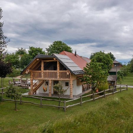 Holiday Home Virida, App Leopold III Ivancna Gorica Esterno foto