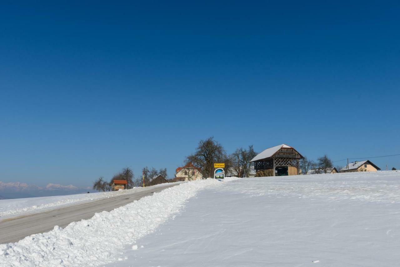 Holiday Home Virida, App Leopold III Ivancna Gorica Esterno foto